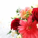 送別会のプレゼントを女性60代に贈るなら？嬉しい物と予算を提案